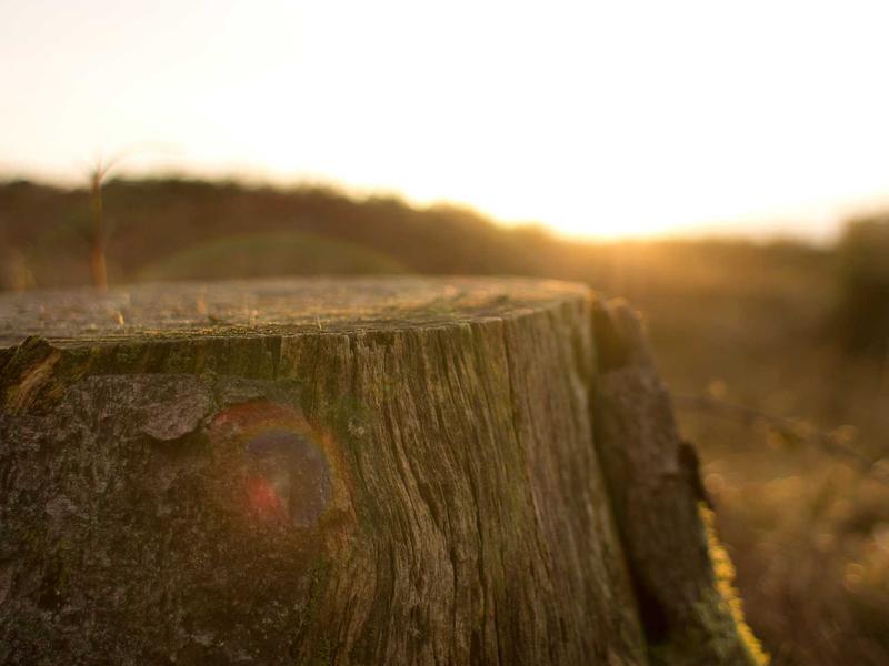 sudoku grid completion screenshot 1